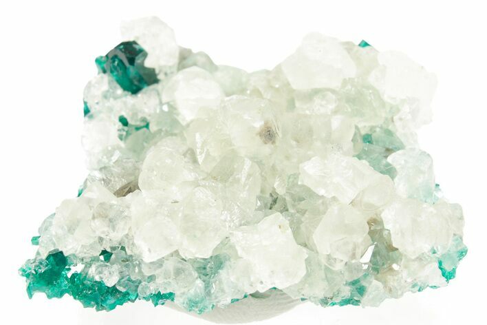 Calcite Crystal Cluster on Dioptase - Congo #366017